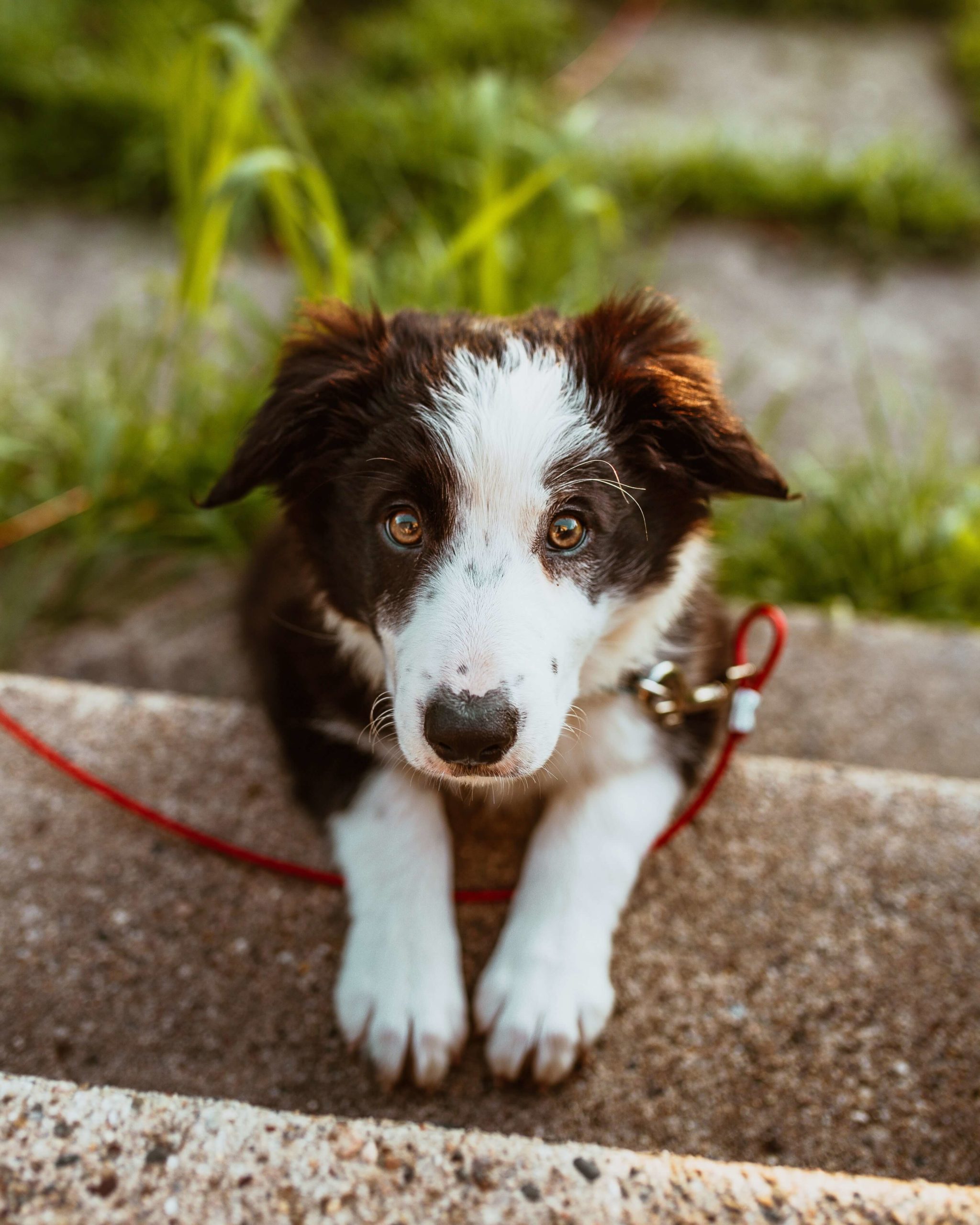pexels-josh-hild-2820134-scaled